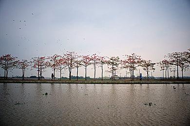 TGA 2024：开放世界动作角色扮演游戏《地下城与勇士：ARAD》新预告